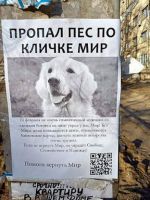 В сети появилось фото завуалированной антивоенной акции в России