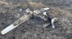 В Одесской области ВСУ сбили российский беспилотник Орлан-10