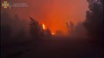 ГУ ГСЧС: Вблизи Чернобыльской зоны масштабное возгорание лесной подстилки. Видео