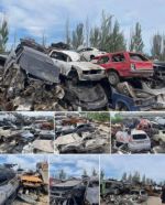 Россияне обустроили новое кладбище автомобилей на штрафплощадке в Ильичевском районе Мариуполя