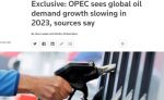 В Организации стран-экспортеров нефти (ОПЕК) ожидают, что в 2023 году из-за рекордных цен на нефть спрос на нее замедлит рост до 2 млн баррелей в сутки