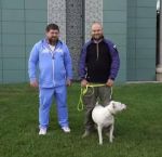 Россиянин украли собаку одного из защитников «Азовстали» в Мариуполе и подарил ее Рамзану Кадырову
