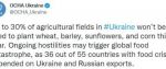 В Украине останутся не засеянными более 30% сельскохозяйственных полей