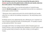 Если не вывезти украинское зерно в течение месяца, последствия для мира будут разрушительны, заявила глава МИД Великобритании Лиз Трасс во время визита в Турцию