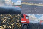 В Краматорском районе Донецкой области бойцы ГСЧС спасли 55 га пшеничного поля от пожара, возникшего в результате обстрелов россиян, сообщили в ГСЧС региона