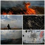 Украинский фотокорреспондент запечатлел момент пожара на Запорожских полях. Позавчера россияне спалили поле в 255 га с паровой пшеницей