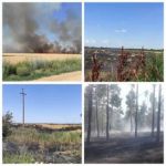 В результате российских обстрелов в Херсонской области горят поля и леса, сообщает полиция региона