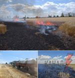 Вблизи села Котлярево в Николаевской области, в результате ночного обстрела российскими солдатами, уничтожено 230 гектар урожая пшеницы