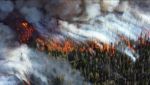 Леса в России горят все сильнее. За сутки в Ханты-Мансийском автономном округе было зарегистрировано 64 лесных пожара, а их площадь увеличилась до 83 тыс. га, сообщают росСМИ